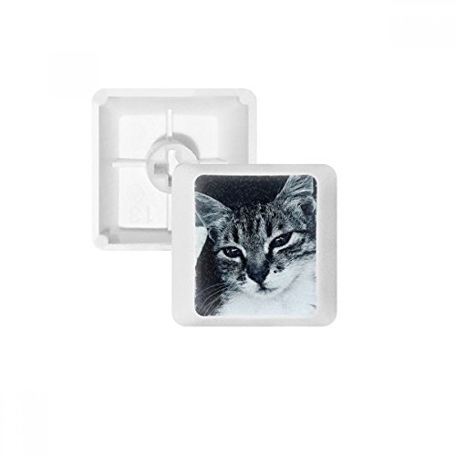 Keycaps PBT chat gris pour clavier mécanique blanc afin de remplacer la touche Echap