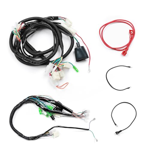 Minho Motorcyel Complete Wiring Harnesses Kit Compatible with Chinese GY6 152QMI 157QMJ 125cc 150cc Engine Scooter Mopeds ATV Jonway