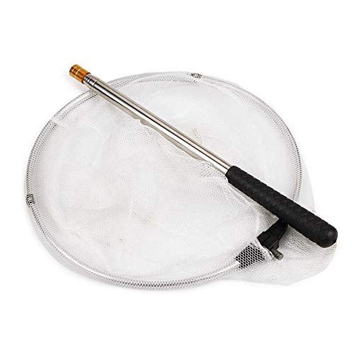 捕虫網２本 21X5+Cw25NL._UF350,350_QL50_.jpg