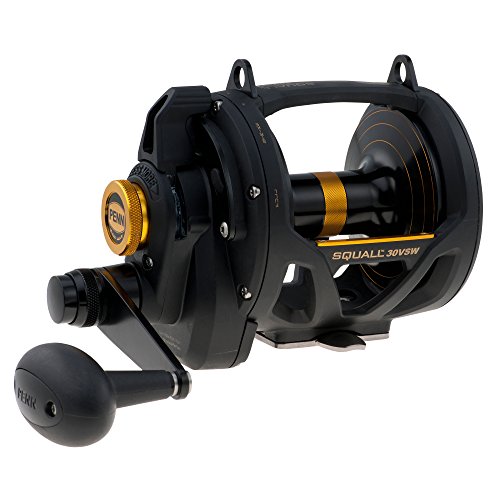 Penn 1292937 30VSW Molinete de arrasto de alavanca Squall 2 velocidades, 1035/30
