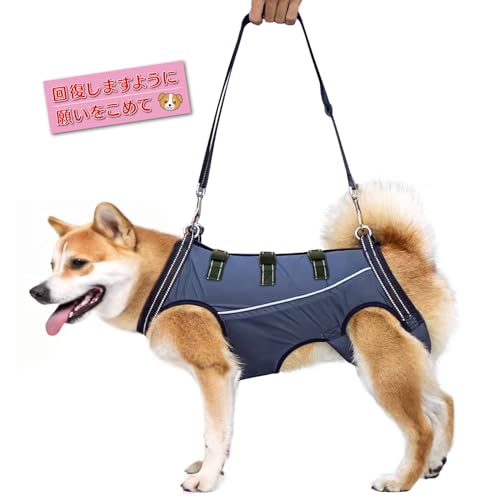 [DIOSARK]  T|[gn[lX s⏕  nr Sn[lX x  k  sx V Q  VjA O㑫⏕ EȒP ߉\ (M, lCr[u[)