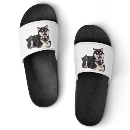 [ZKCASA] Xbp Č   [V[Y jp  T_ y OJ ~ 􂦂 p qp Cp v[g 42 (260mm)