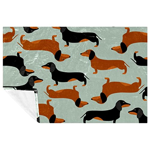 Couverture chaude teckel en textile premium 150 x 100 - 2
