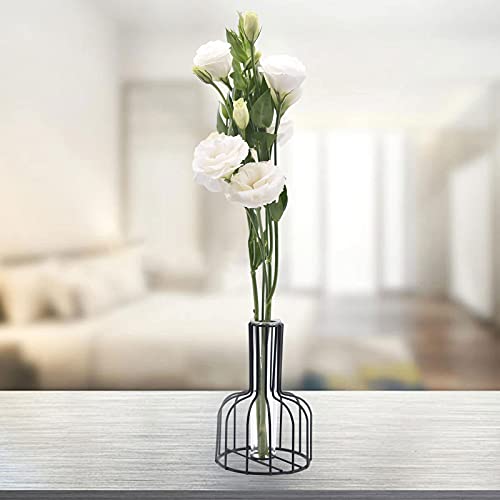Flower Vases With Iron Art Frame, Metal Flower Vase, Test Tube Vase, Iron Art Flower Vase, Clear Vase Decorative For Living Room Wedding Holiday Party Pack Of 2 #TOP2
