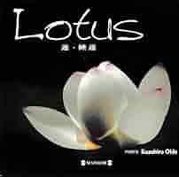 Lotus: 蓮・睡蓮 | 大出 一博 |本 | 通販 | Amazon