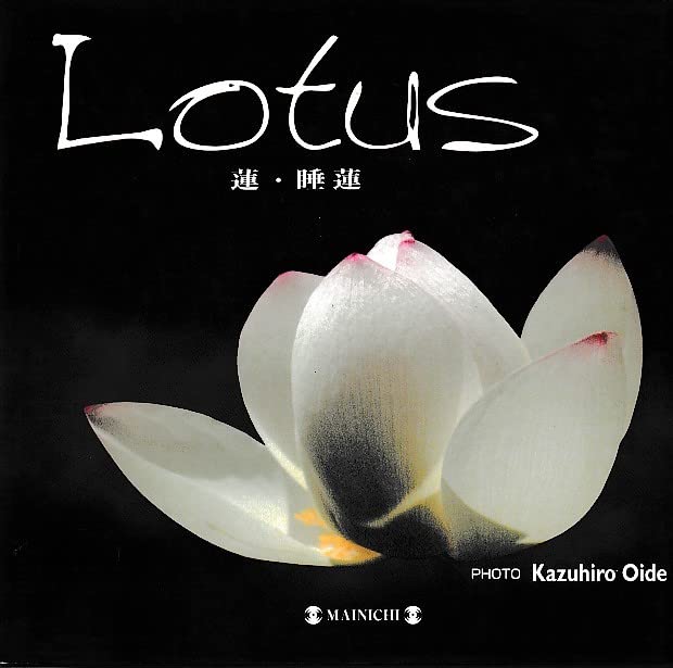 Lotus: 蓮・睡蓮 | 大出 一博 |本 | 通販 | Amazon
