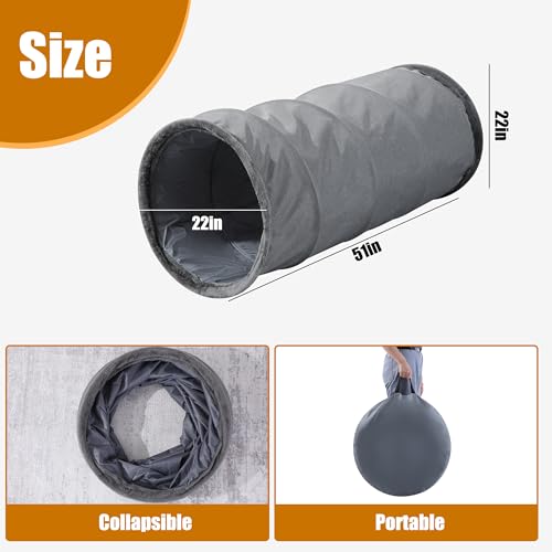 HOMBYS Dog Tunnel Strengths and Trade-Offs