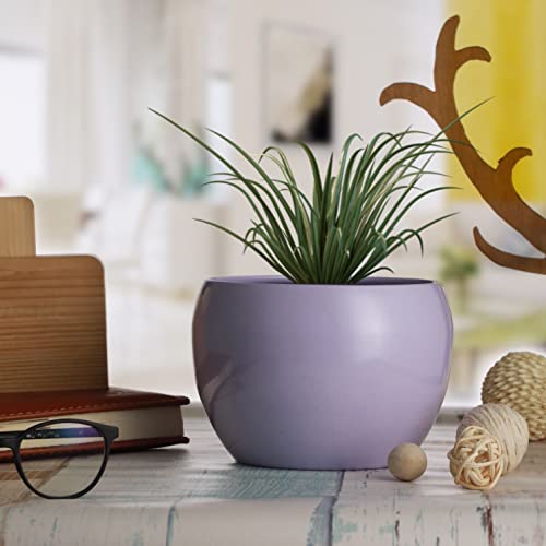 Image of Rust Free Tabletop Decorative Metal Planter Flower Pot Plant Pot for Indoor Plants, Flowers,Home Decor, Office, Restaurant (Purple)