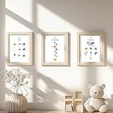 Générique Pack de Posters Éducatifs Enfants – Lot de 3 Posters (DIN A4) | Continents, Météo, Système Solaire| Apprentissage Ludique et Coloré |   Décoration Chambre Enfants   Idéal 4 8 ans