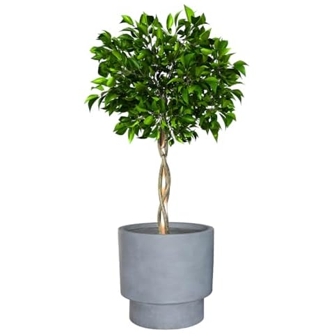 Fibre Clay Modern Flower Pot Planters Cover