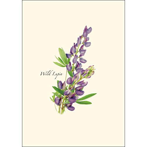 Image of Earth Sky + Water - Wildflower Assortment Notecard Set - 8 Blank Cards with Envelopes (4 each of 2 styles)