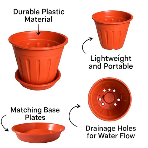 Image of 6 inch Plant Pot with Base Plate (Set of 4 Pot + 4 Base Plate) | Indoor Flower Pot with Saucer | Premium Flower Pots for Plants