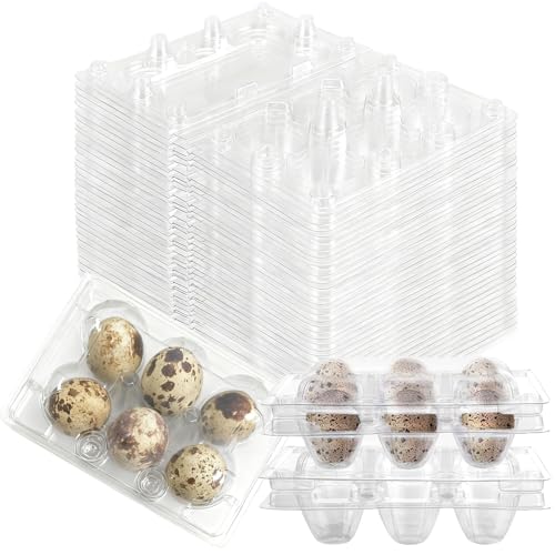 50 Cajas para Huevos de Codorniz, 6 Hueveras de PET Transparente, Plástico Reutilizable de Grado Alimenticio