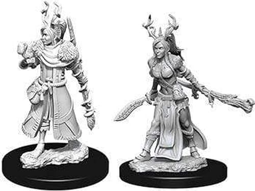D&D Nolzur's Marvelous Unpainted Miniatures (W9) Female Human Druid