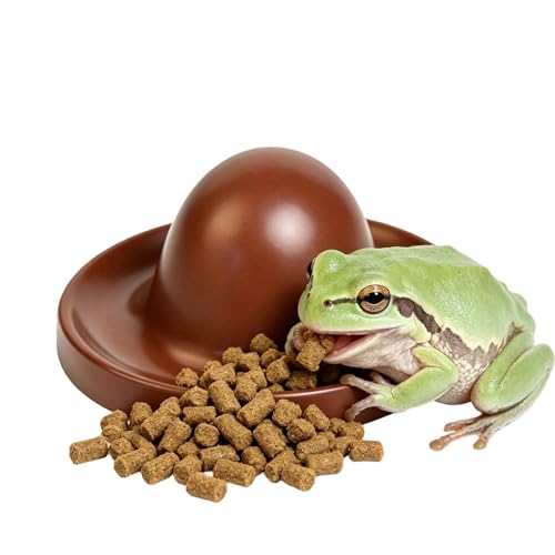 Generisch Ceramic Feeding Dish, Reptile Feeder Bowl Tray, Non Slip Base with Stable Design, Sturdy Ceramic Food Container, Terrarium Accessory with, Pet Supply for Gecko and Lizard
