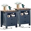 Nightstands set of 2 with charging station farmhouse night stand with 2 drawers and shelf storage wooden side end table bedside cabinet for bedroom living room closetoffice blue  urban country home decor