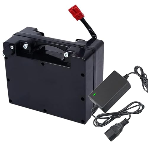 FREEDOH Batería de Iones de Litio de 24V Batería para Silla de Ruedas eléctrica de 24V Paquete de batería de Litio de 24V 10AH 15AH 20AH 30AH 40AH con Cargador para Motor de 0-1000W,24v15ah