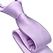 Branduce Lavender Tie for Men Solid Satin Ties Silk Blend Necktie for Wedding Business (TA11-04)