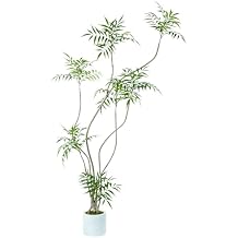 Artificial Mahonia fortunei Tree,6ft Tall Fake Plants Artificial Mahonia fortunei Plants for Indoor, Fake Trees for Office Home Living Room Floor Patio Greening Porch Decor