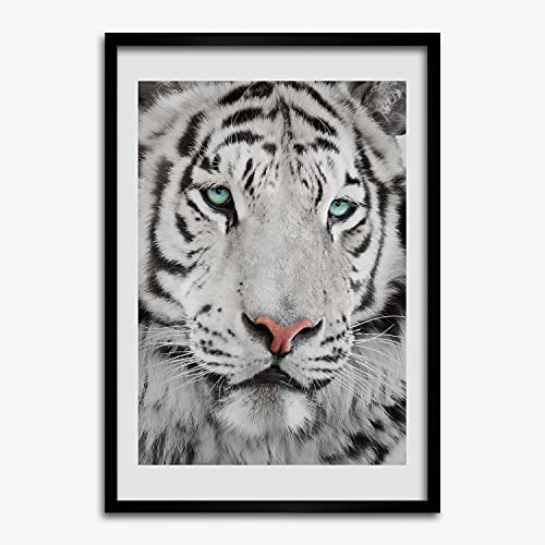 Cadre en bois 50x70 avec affiche tigre blanc structure MDF robuste pour salon