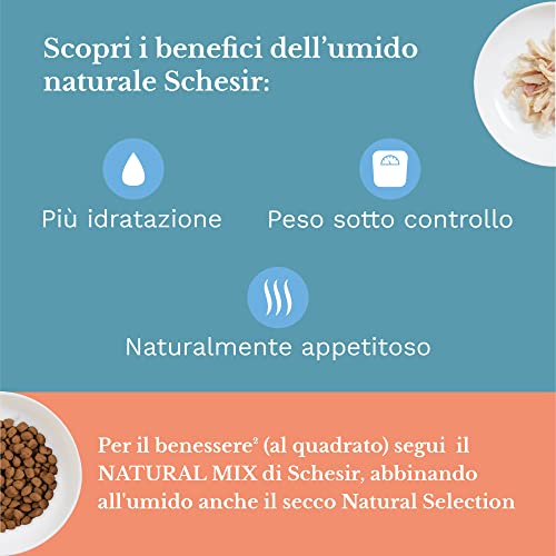 Schesir Cat Jelly Thunfisch mit Huhn, Katzenfutter nass in Gelee, 24 Dosen x 85 g