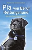 rettungshunde rassen  Pia, von Beruf Rettungshund: Meine aufregendsten Einsätze