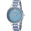 Light Blue/Silver
