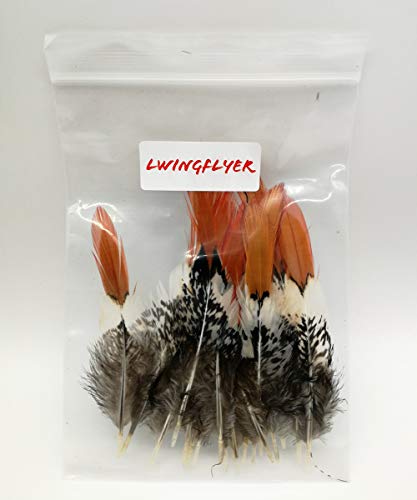 20Pcs Natural Spotted Feathers Pheasant Feathers For Craft Clothing Jewelry Accessories Decoration (Red Tip Lady Amherst Pheasant Tails Feather 6-8") #TOP3