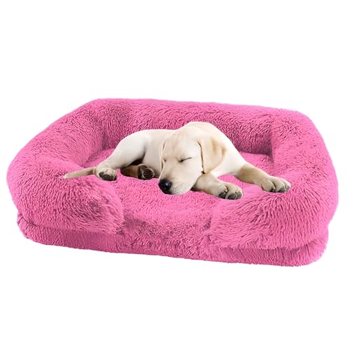 Lit de chien imperméable lavable pour finir avec les odeurs - 2