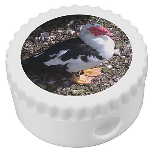 Barbari Ente – Die 15 besten Produkte im Vergleich - HundeINFOPortal