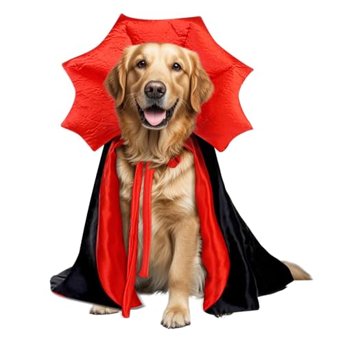 Golden Retriever Halloween Costume