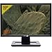 SIMPLETEK - Monitor 19' Widescreen 1440x900 | 5ms, 16:10, 1000:1 Contrasto | DVI-D & VGA | VESA | Ideale per Ufficio e TCO (Ricondizionato) immagine