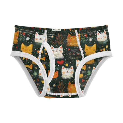 Boys' Exclusive Briefs Toddler Underwear 95% Combed Cotton Boxerbriefs 2T Happy Cat Floral Pattern