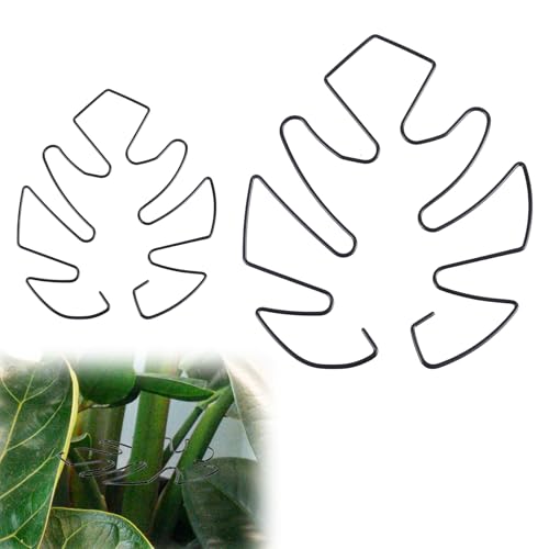 BOXOB 2uds Soporte para Plantas, 2 Tamaños Ganchos de Soporte para Tallos de Plantas Trepadoras Ideal Soporte Estabilizador de Monstera para un Crecimiento Próspero de Las Plantas (Negro)