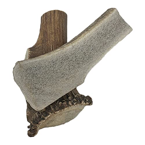 WhiteTail Naturals Premium Split Elk Antlers for Dogs | 2 Pack - XL | All Natural Dog Chews | Naturally Shed, Big Antler Horn Chew Toy (Extra Large (2 Pack)) WhiteTail Naturals Premium Split Elk Antlers for Dogs | 2 Pack - XL | All Natural Dog Chews | Naturally Shed, Big Antler Horn Chew Toy (Extra Large (2 Pack))