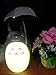 Totoro Anime LED Night Light Kid's Character Lamp USB Charge, Desk Night Table Reading Lamp