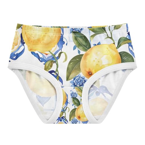 Vintage Lemon Blue Underwear Toddler Girl, Kids Underwear Girls, 2T–8 Years