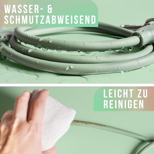 ne&no® Hundeleine 1,5 m Loft Design, schmutz- & wasserfest, Führleine für Hunde, Dog Leash, grün