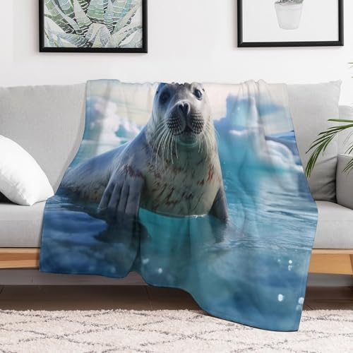 Couverture super douce et moelleuse pour stopper le froid
