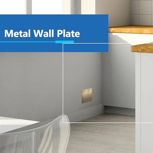 Image of LIDER Blank Metal Wall Plate, Metal Blank Outlet Cover, Corrosion Resistant, Mid-Size 2-Gang 4.88 inch x 4.92 inch, LMWP-02M-AB, Steel, Plated Antique Brass, 1-Pack