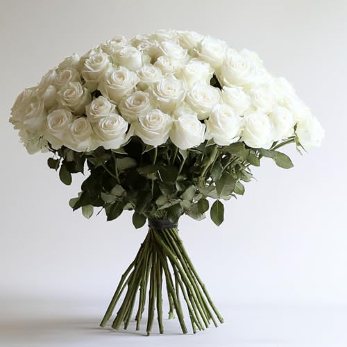 Globalrose 50-WHITE-ROSES-SHORT Roses- 50 Fresh Cut Flowers cover