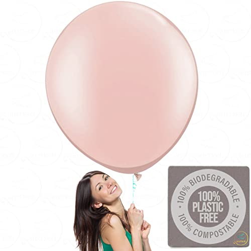 Afterloon Biodegradable Pear Shaped Giant Balloons Blush Pink 36 Inch 12 Pack, Large Thickened Extra Strong Latex Jumbo Big Helium Float, For Baby Gender Reveal Wedding Birthday Party Decorations #TOP7