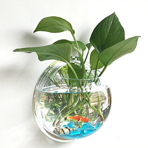 Veemoon Pesce Murale Bubble 2 Contano Parete Bolla Bolla a Parete Ciotola Appesa alla Pianta Idroponica Pentola Floreale a Parete a Parete Acrilica - Image 5