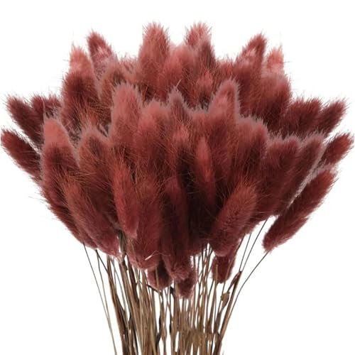 Pampas decorativas secas 100 piezas 45 cm color marrón