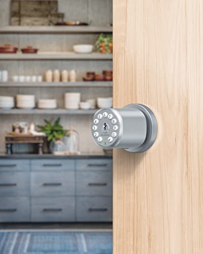 Holomarq Door Knob With Keypad For Interior Combination Bedroom Door Lock 4 Aa Alkaline Batteries Keyless Electronic Digital Coded Door Knob Sequra (Glossy Silver) #TOP3