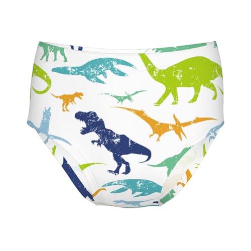 Rex Dinosaur Silhouette Girls' Underwear Soft Cotton Little Girls Panties Comfort Briefs