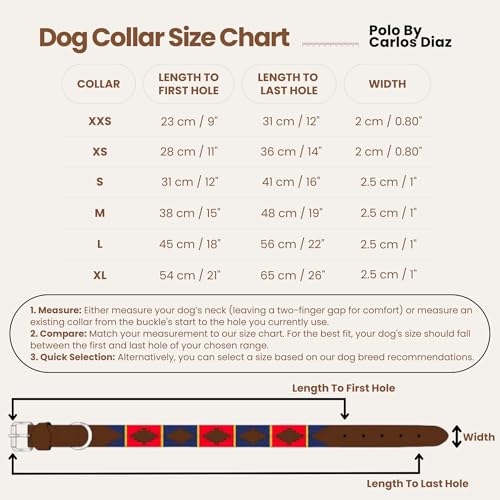 Collier pour chien en cuir véritable pour balades et style polo - 4