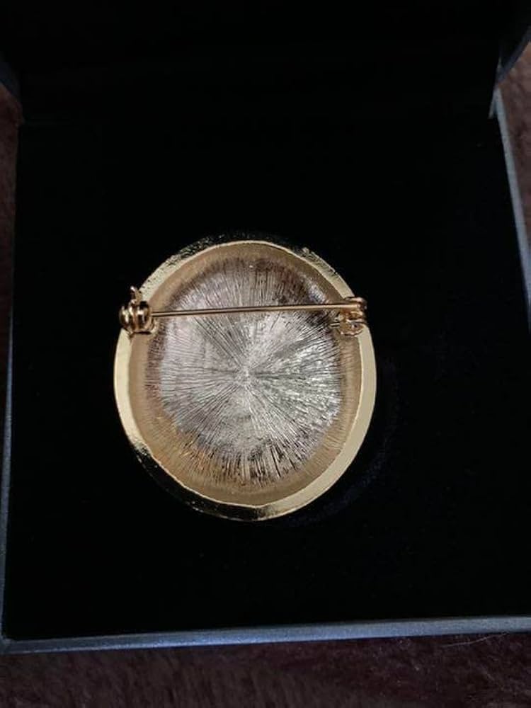 Amazon.co.jp: ジョルノ ブローチ てんとう虫 ジョジョ展