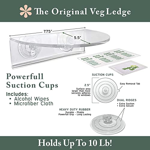 Image of Window Garden Double Veg Ledge - Create an Indoor Garden, Hold Your Planter Pots, Seed Starter, Figurines on Your Window. Grow Herbs, Microgreens, Succulents, Indoor Garden Kit (3 Pack)