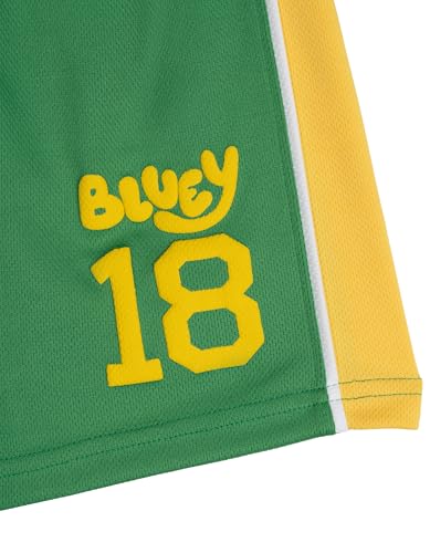 Image of Bluey T-Shirt and Mesh Shorts Outfit Set Infant to Big Kid Sizes (12 Months - 10-12)